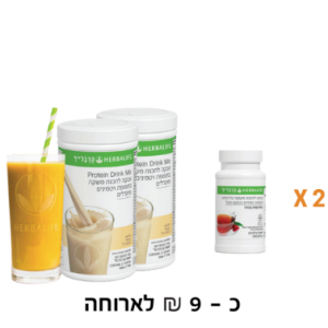 תכנית בסיסית